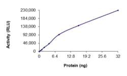Sino Biological&nbsp;Recombinant Human EGFR Protein (D761Y, GST Tag), Active